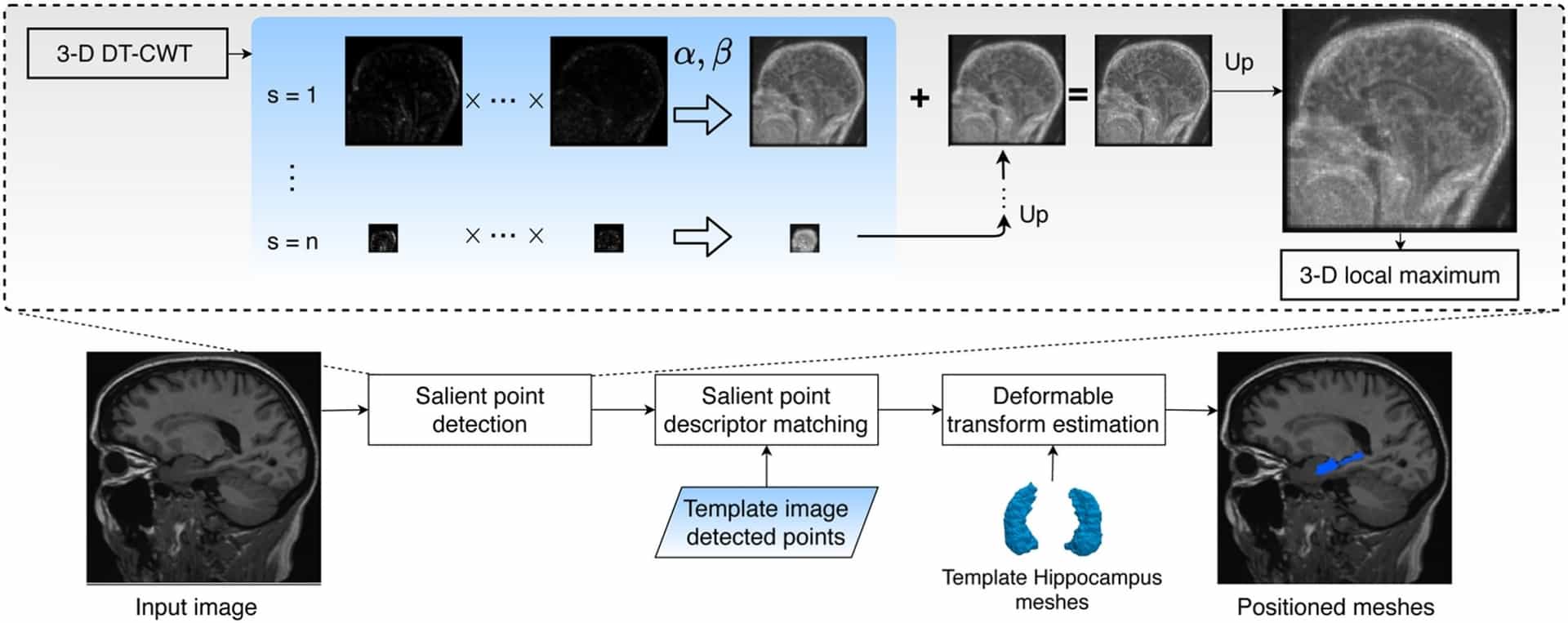 Detector of 3-D salient points based on the dual-tree complex wavelet transform 