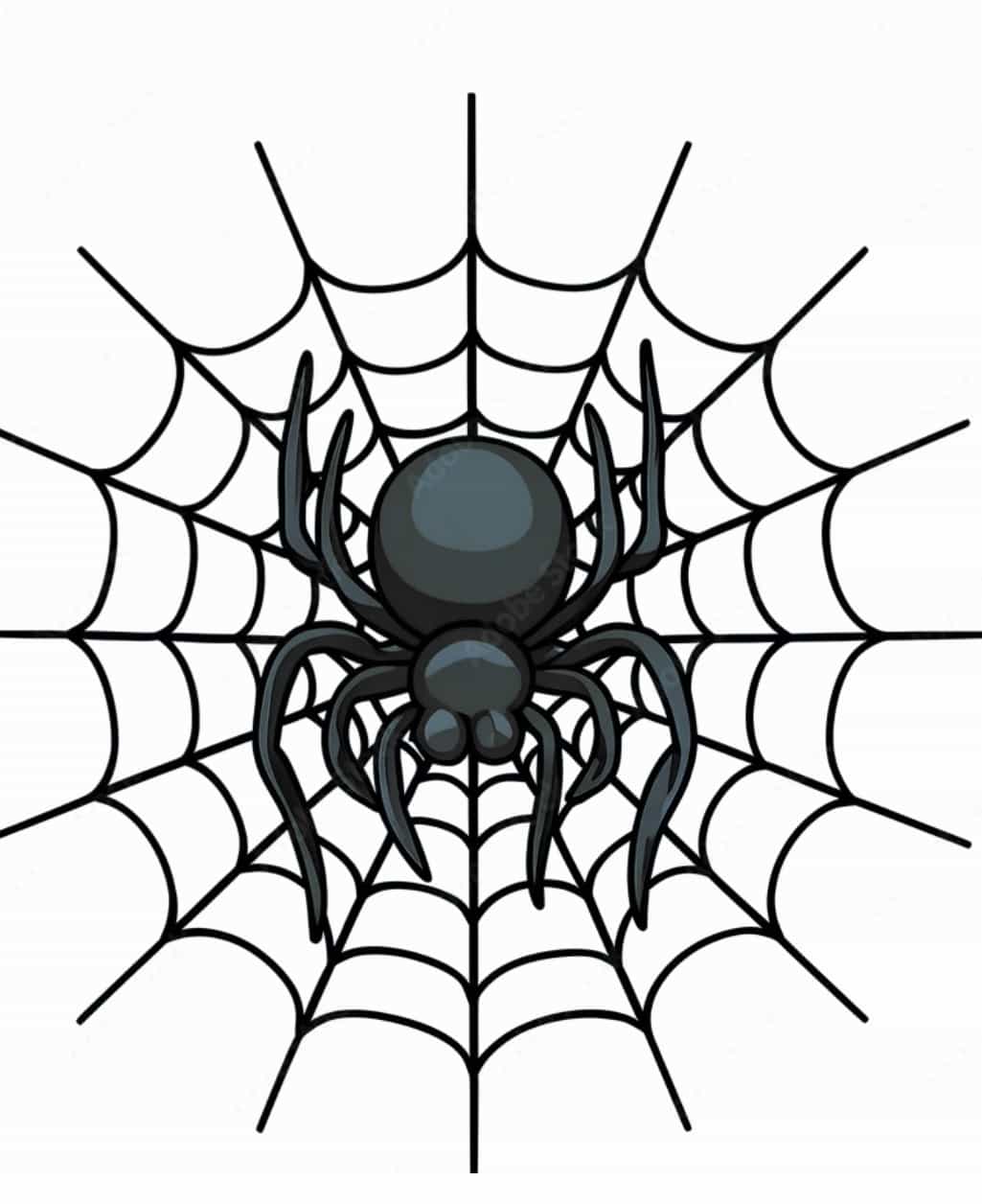 The Spider’s Fault 