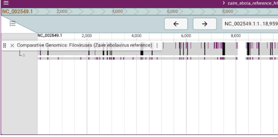 Filo Five: Filovirus Genome Database
