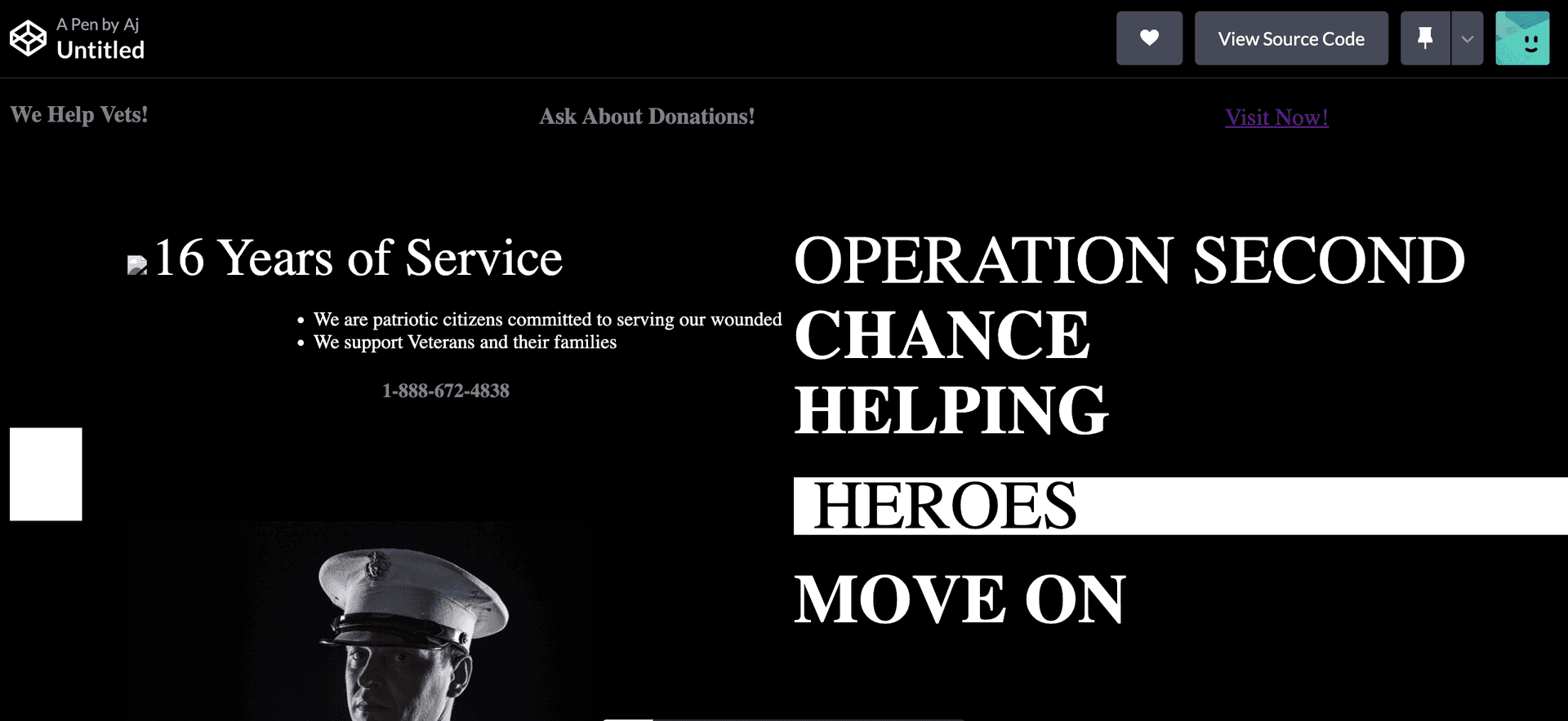 AD For Non-Profit "Operation Second Chance"