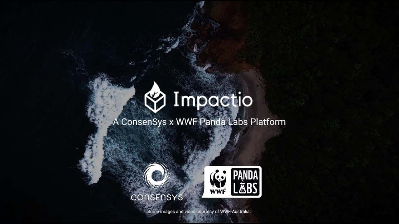 Impactio: Blockchain Case Study for Philanthropy & Sustainability