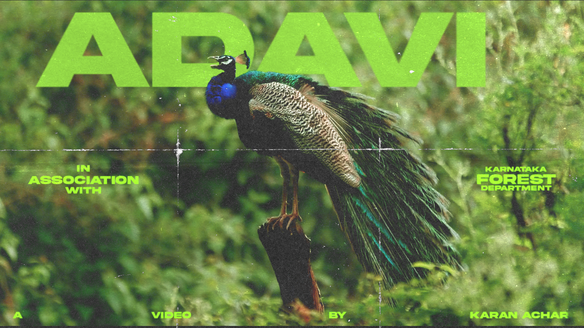 ADAVI - The Wild Karnataka