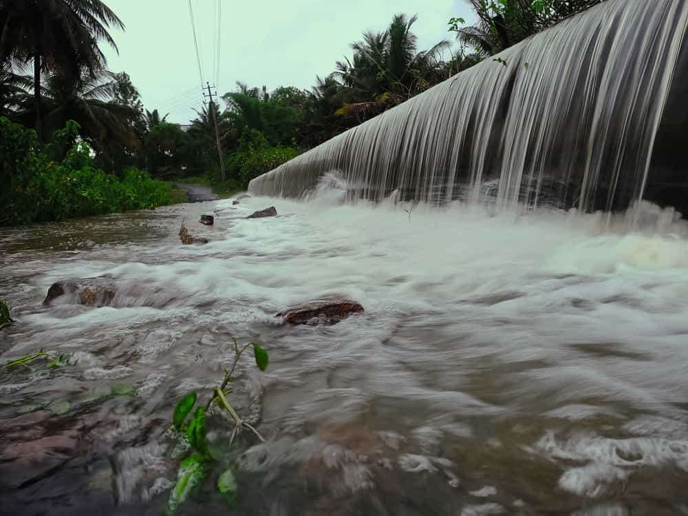 WATER HAS MEMORY