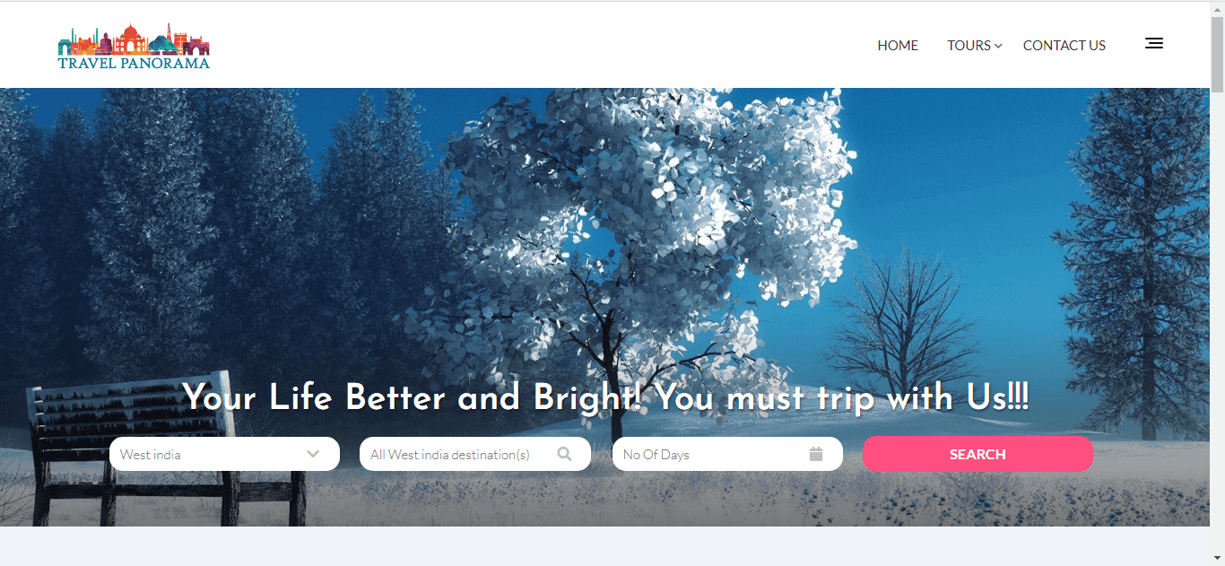 Boosting Travel Panorama's Online Presence