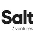 Salt Ventures Logo
