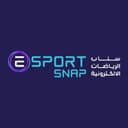 Esport Snap News Logo