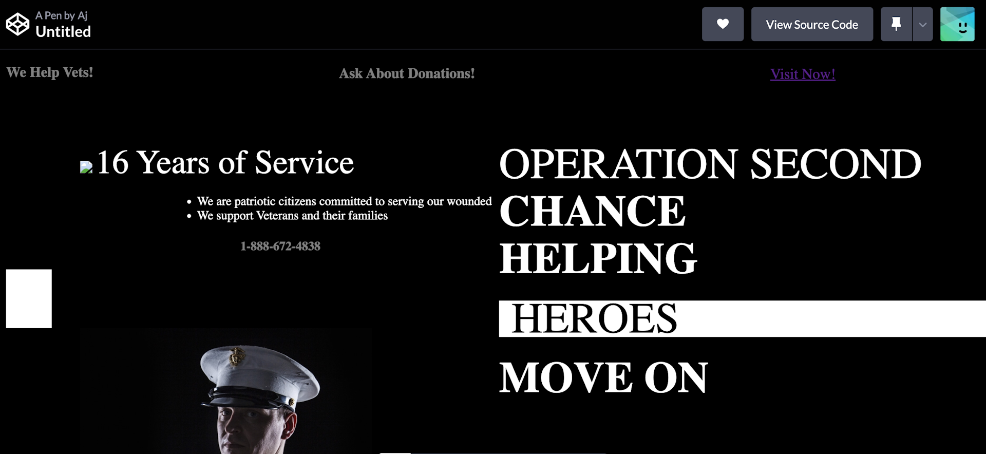 AD For Non-Profit "Operation Second Chance"