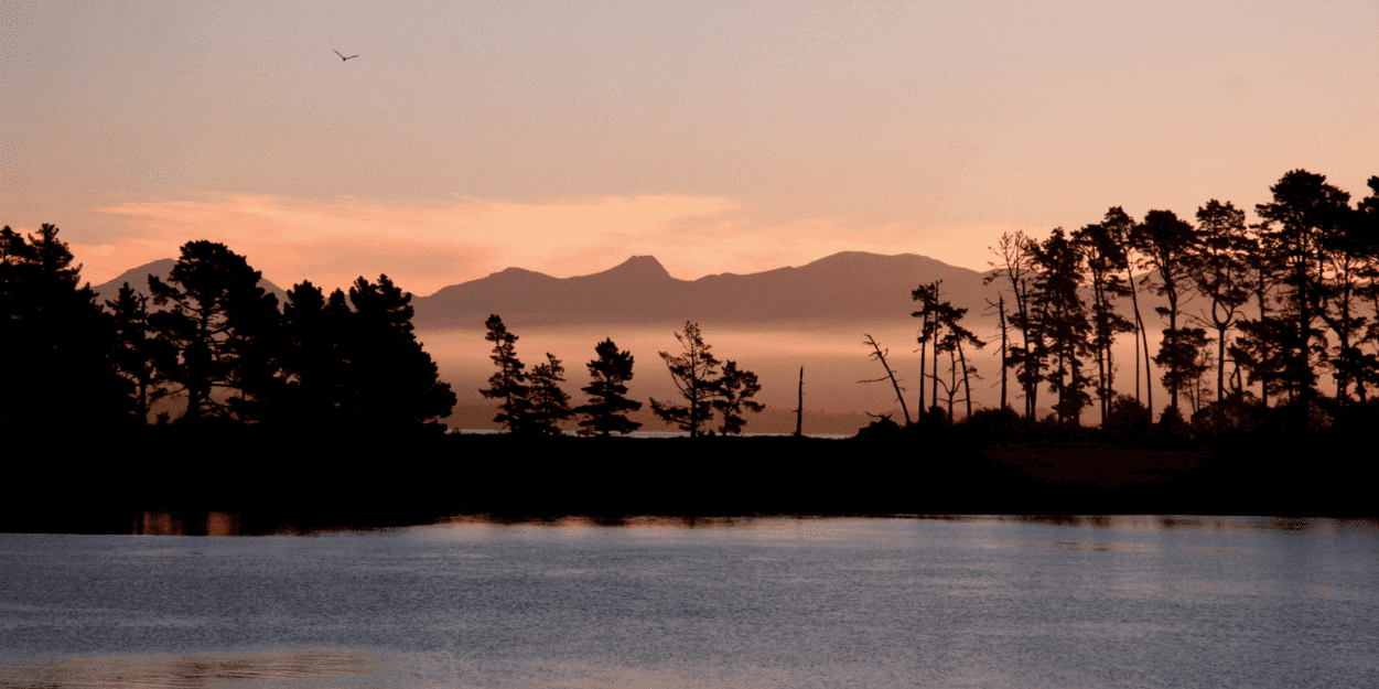 sole esnaola's cover image