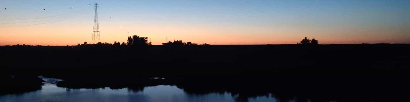 Riley Hernandez's cover image